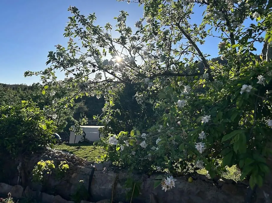 וילפלור Lilly'S Finca - Romantischter Rueckzugsort - Pool