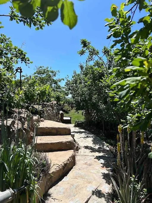 בית נופש וילפלור Lilly'S Finca - Romantischter Rueckzugsort - Pool ספרד